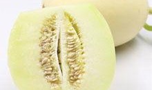 甜瓜乐园最新版大爆料,全新玩法与惊喜等你探索