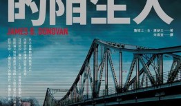 间谍桥在线观看,揭秘冷战阴影下的惊心动魄间谍对决